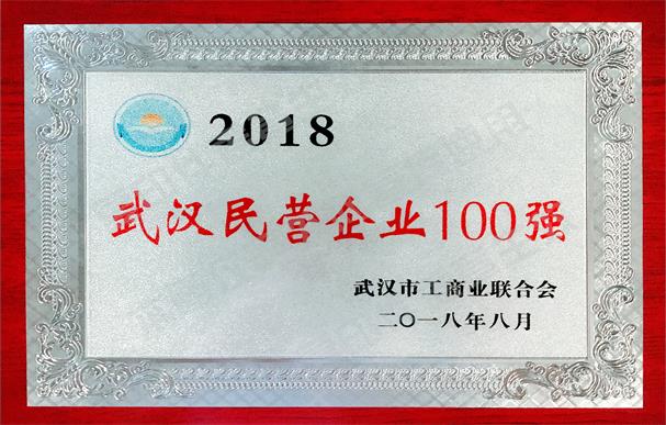 2018武汉民营企业100.jpg