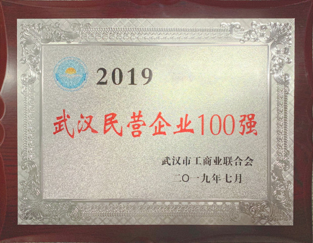 2019武汉民营企业100强.jpg